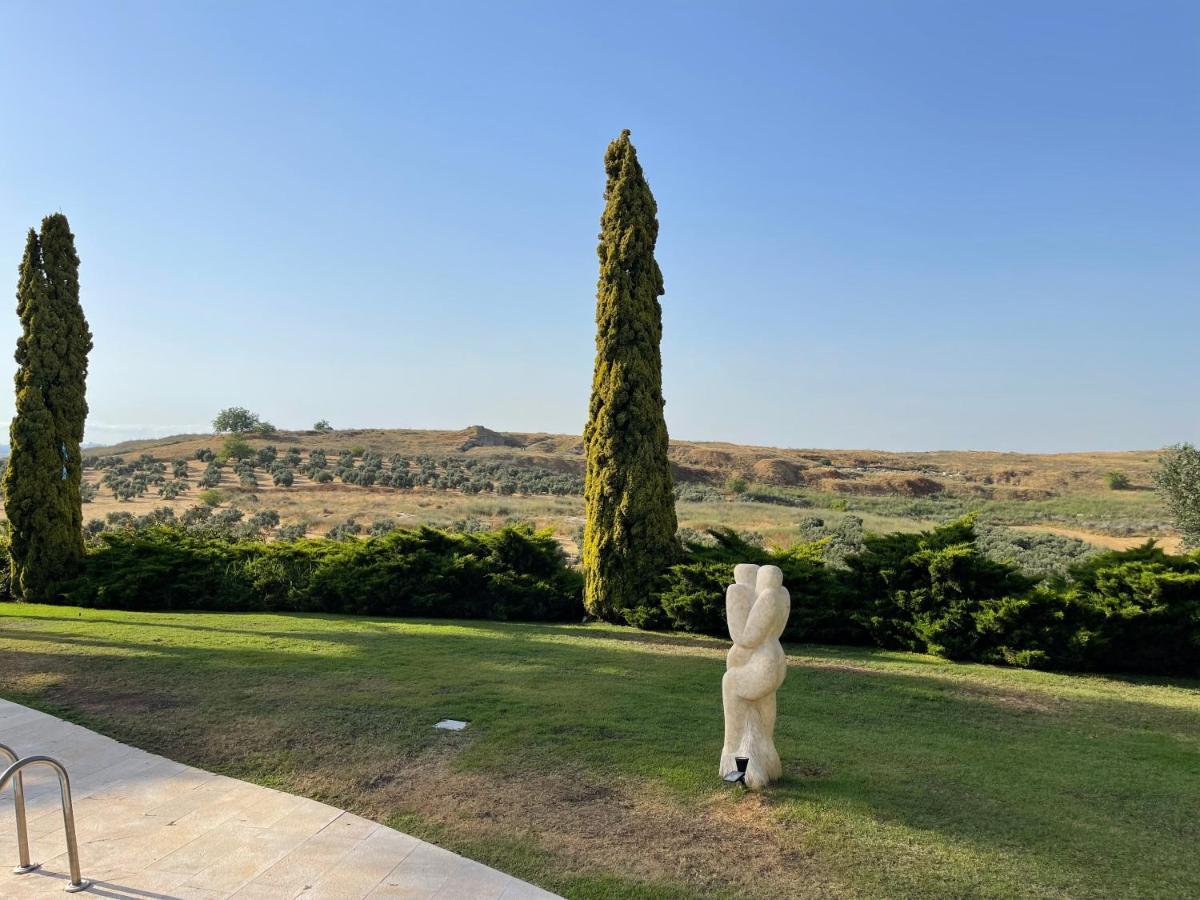 Villa Ba'Gefen Karmei Yosef エクステリア 写真